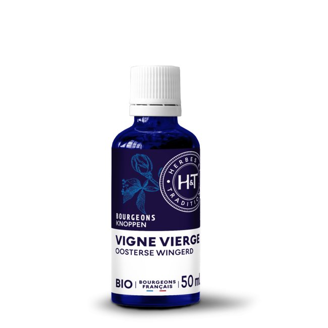 Gemmo macérât - vigne vierge (bourgeons de feuilles) bio Herbes-et-traditions.