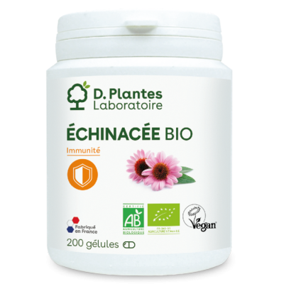 Échinacée bio Dplantes
