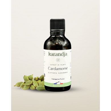 Extrait de plante bio cardamome Karandja