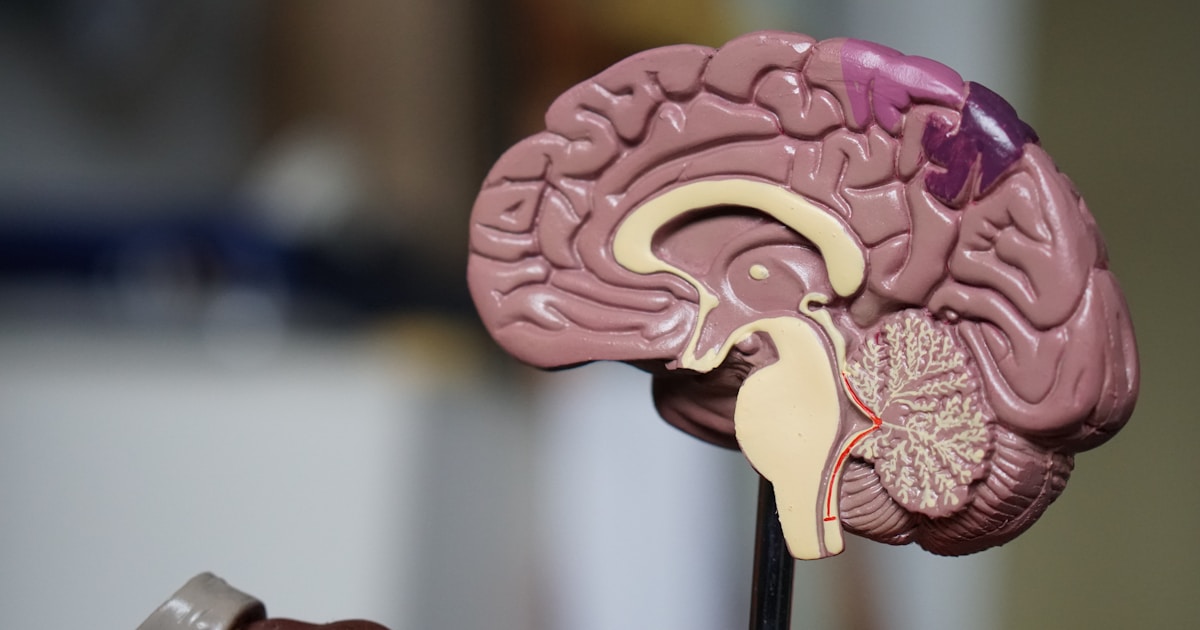 AI drug discovery molecular analysis - StartupStage Blog