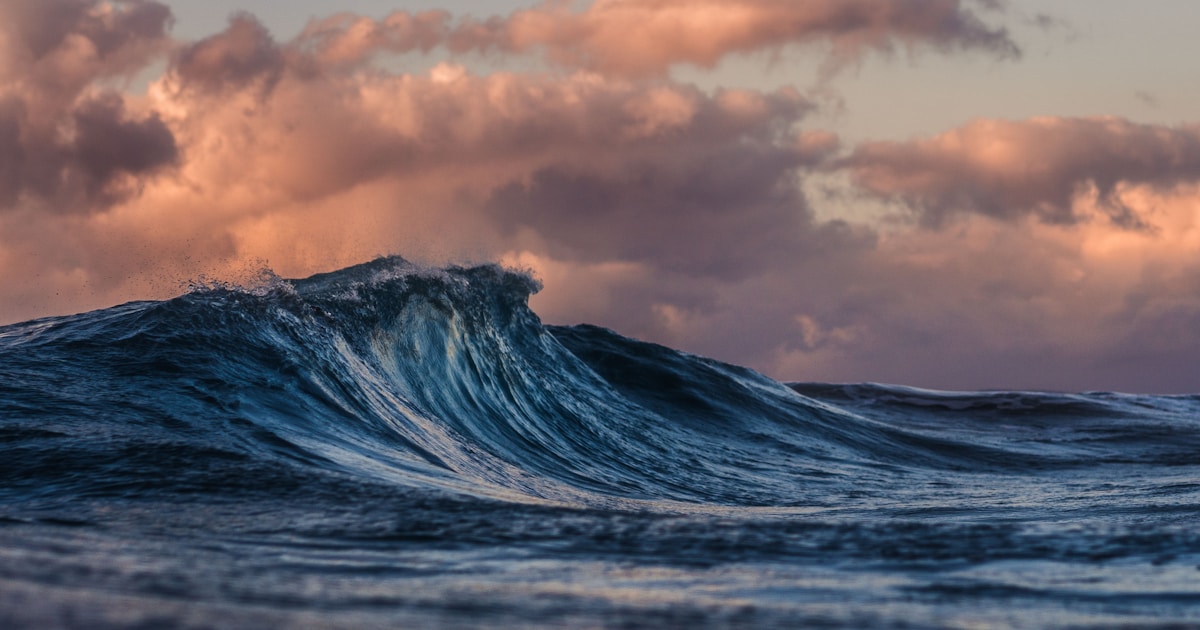 Ocean conservation marine technology monitoring - StartupStage Blog