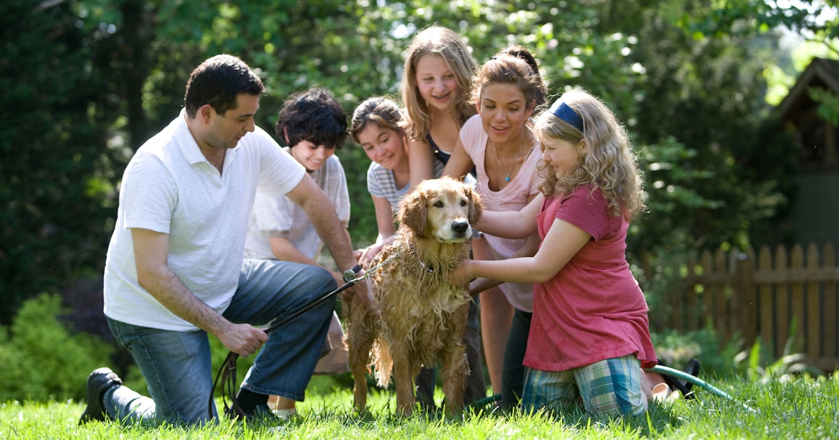 Modern parenting community platform - StartupStage Blog