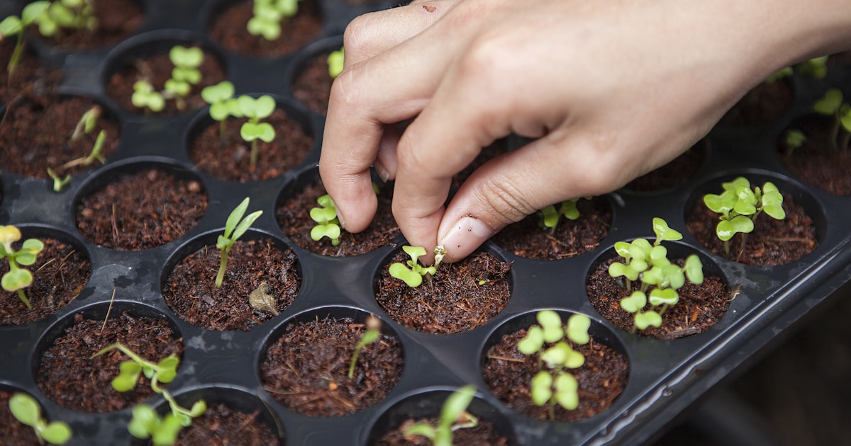 Vertical farming innovation - StartupStage Blog