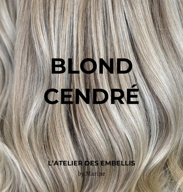 Exemple de publication instagram du compte l'atelier des embellis sur la thématique du blond cendré. 
