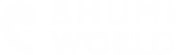 BHUMI WORLD