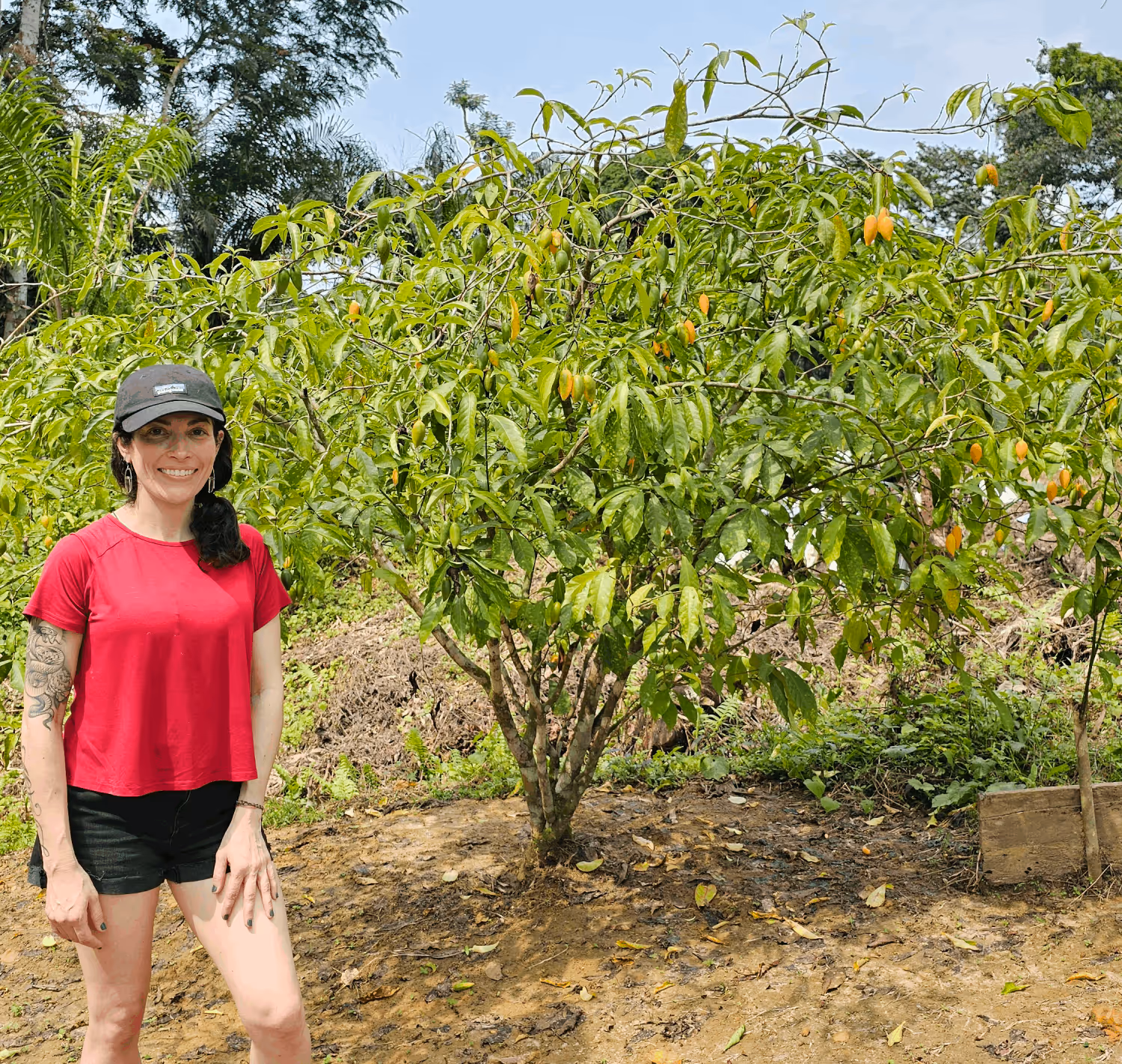 Sarah Seigel near an Iboga tree in Gabon.