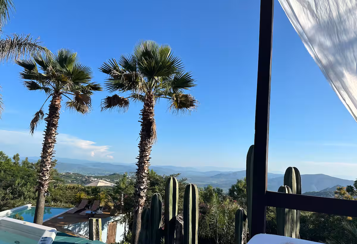 Palms and lawn at dusk, with the valley beyond.