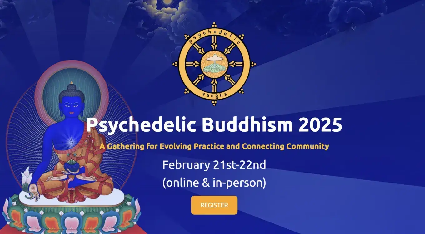 Psychedelic Buddhism 2025 cover image.