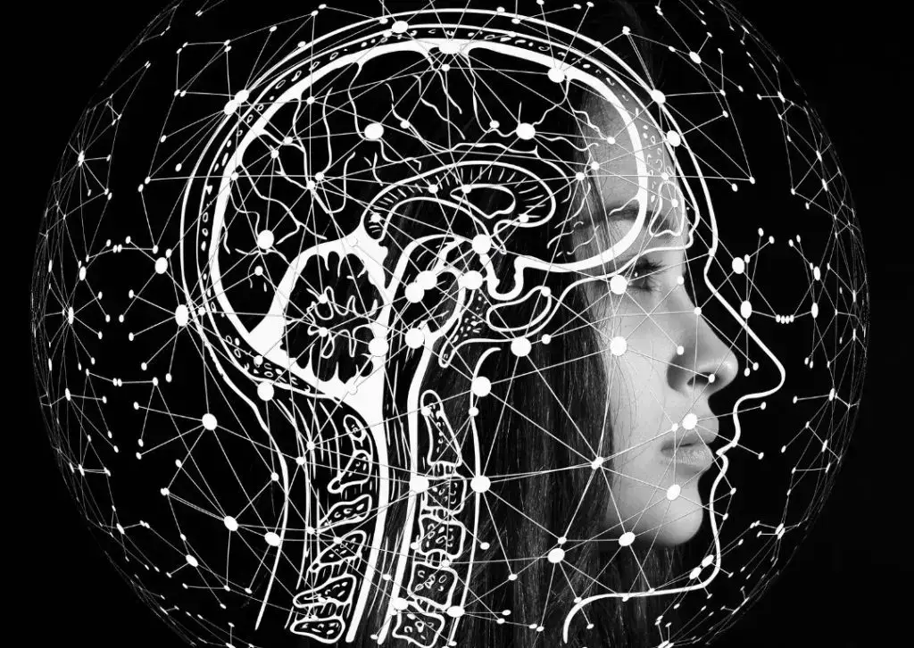 showing woman and ibogaine mechanisms of action