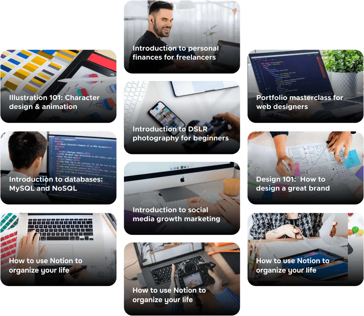 More Than 500 Courses - eLearner X Webflow Template