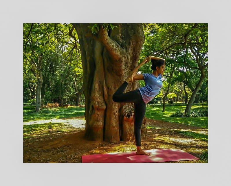 Dancer Pose Variation