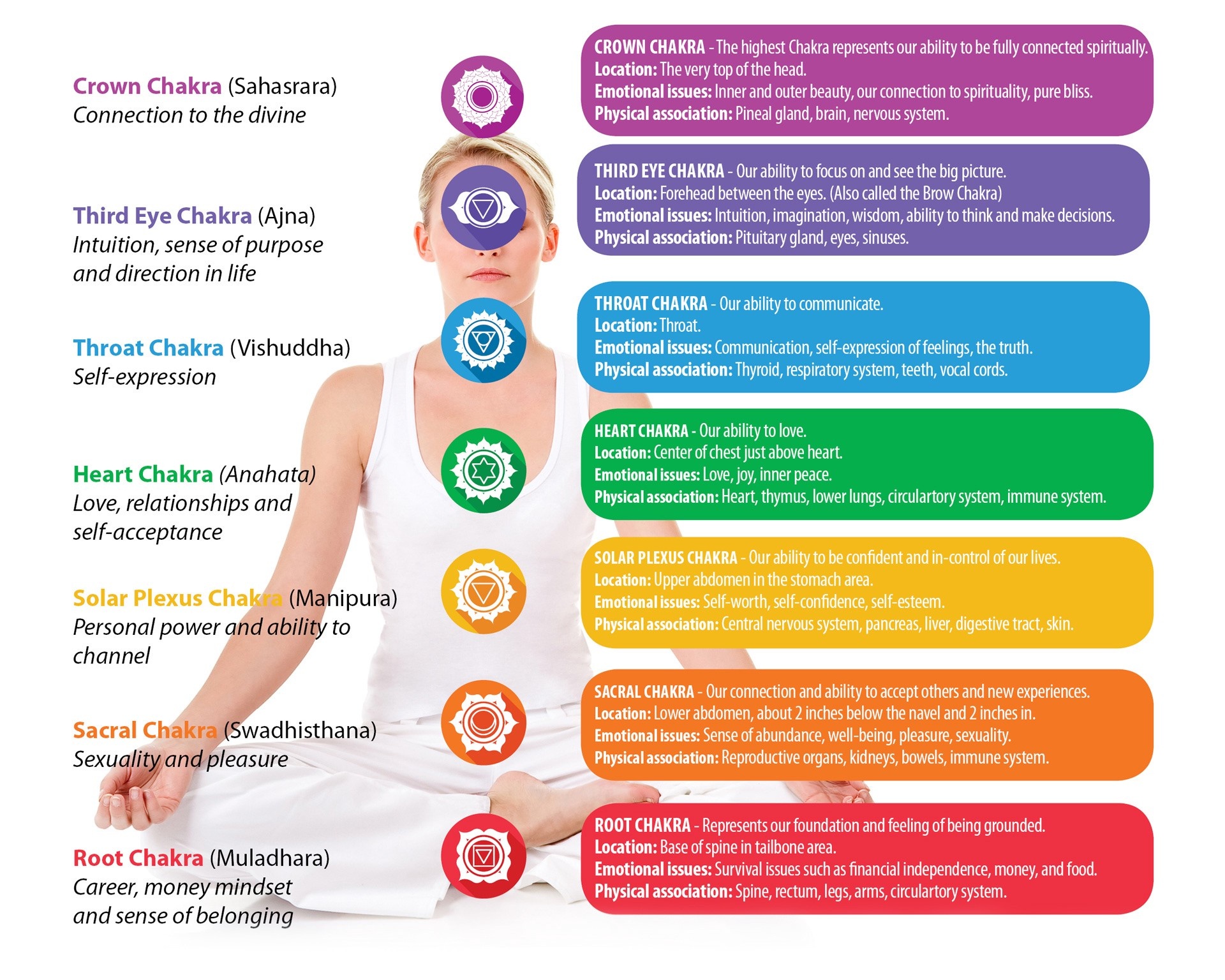 The Seven Chakras