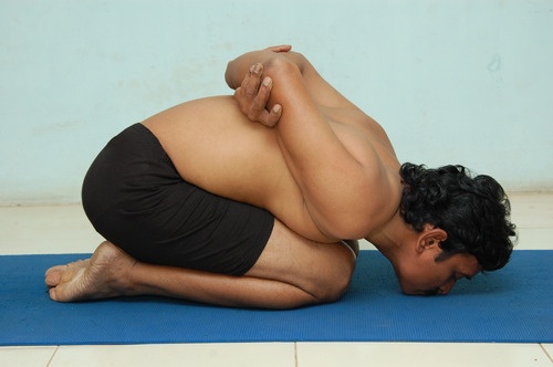 Yogic Seal Pose