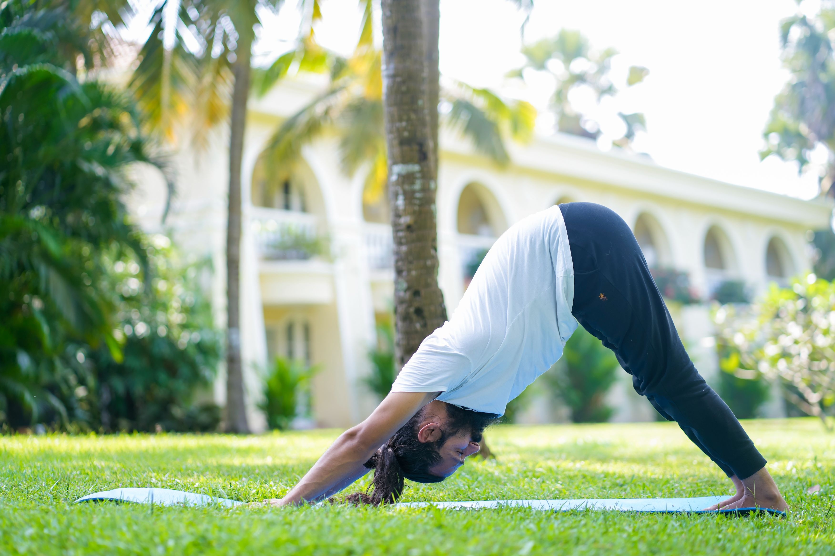 Adho Mukha Svanasana (Downward Facing Dog)