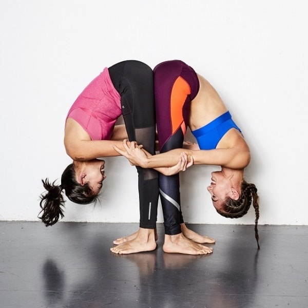Two person standing forward fold (beginner level)