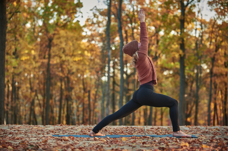 Virabhadrasana+I.jpg