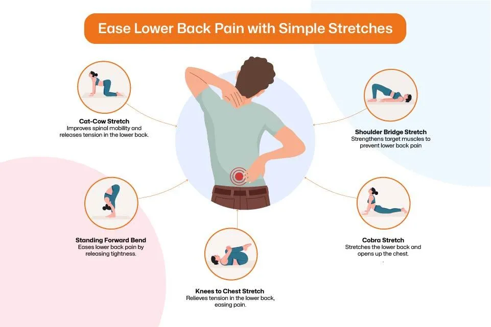 Lower Back Pain Stretches