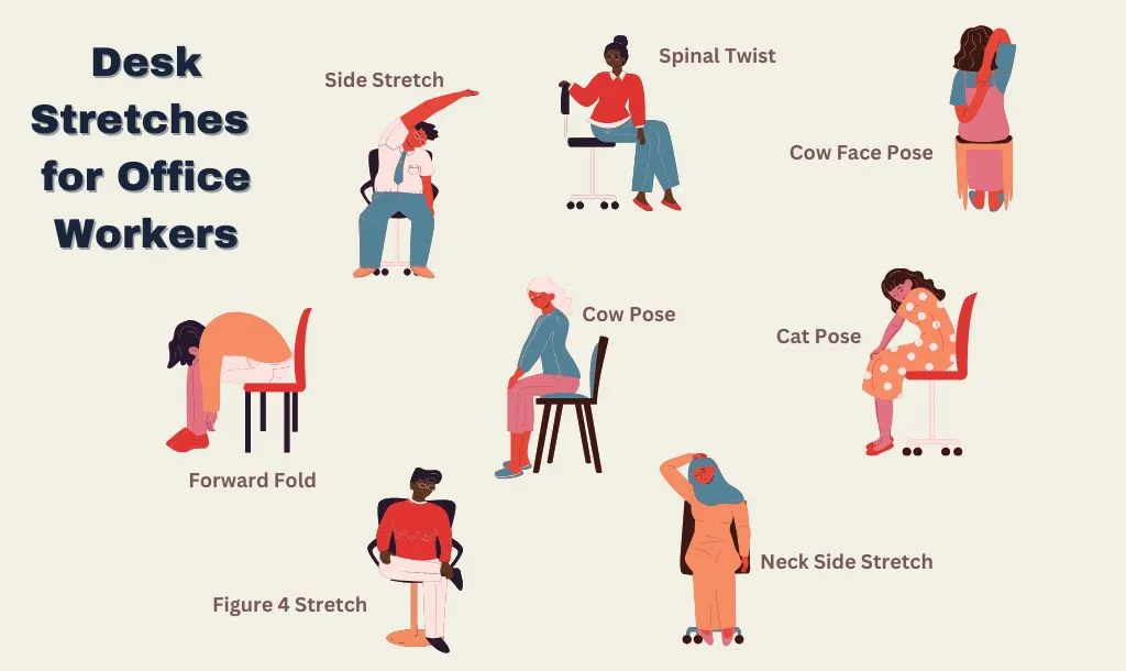 Desk Stretches for Office Workers