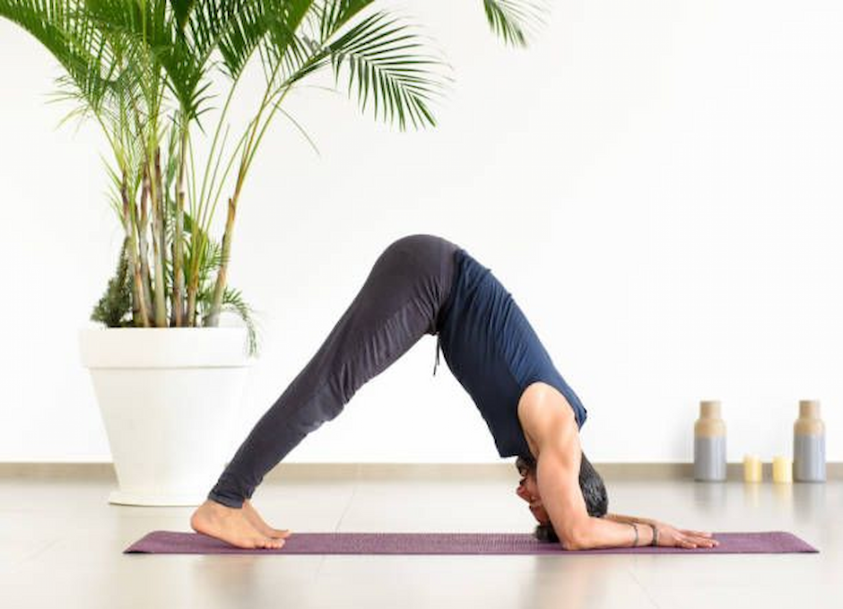 Dolphin Pose for Tech Neck