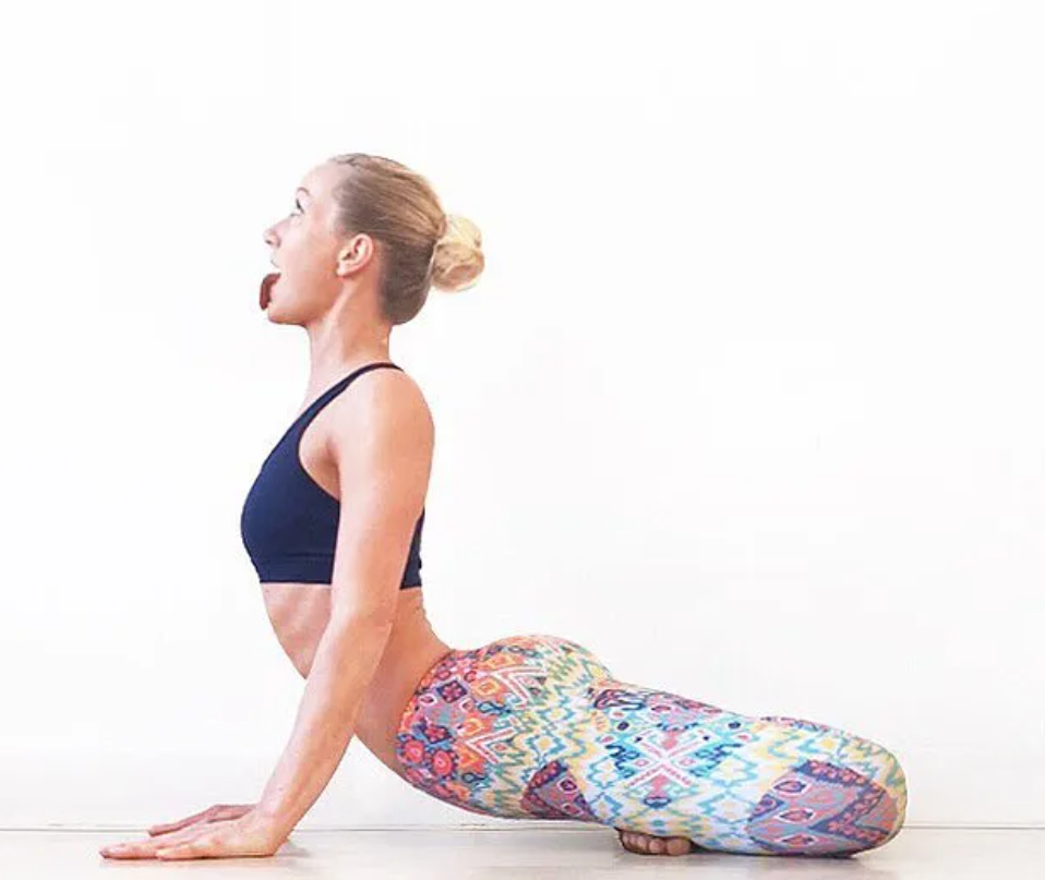 10 (14).png Simhasana II (Lion Pose II)