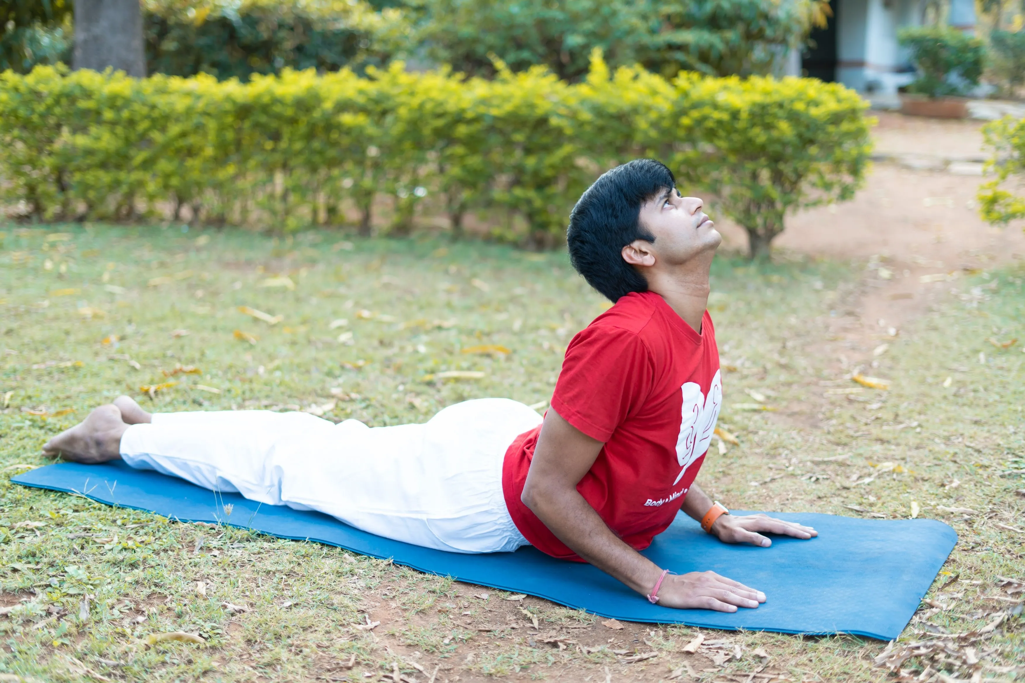 Bhujangasana (Cobra Pose).jpg Bhujangasana (Cobra Pose)