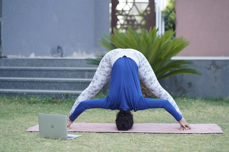 Forward Fold for Spine