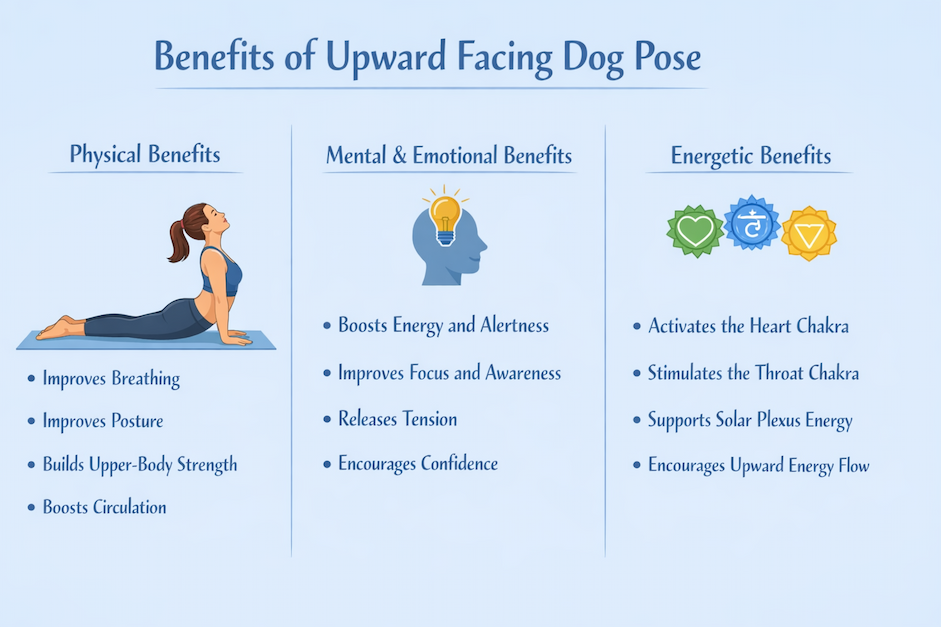 Upward Facing Dog Pose Benefits