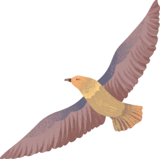 Fano Agency Webflow Template- Designed by Azwedo.com and Wedoflow.com