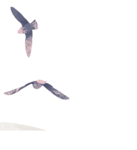 Fano Agency Webflow Template- Designed by Azwedo.com and Wedoflow.com