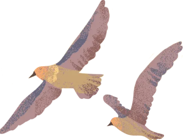 Fano Agency Webflow Template- Designed by Azwedo.com and Wedoflow.com