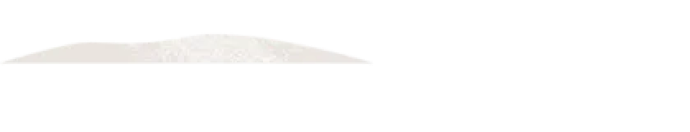 Fano Agency Webflow Template- Designed by Azwedo.com and Wedoflow.com