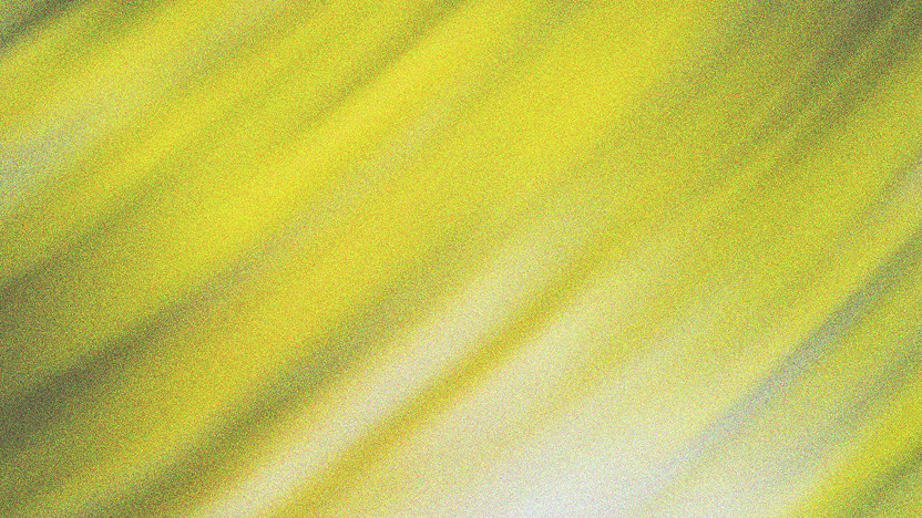 Interlink Accelerates Customs Entry Processing Amidst Regulatory Uncertainty