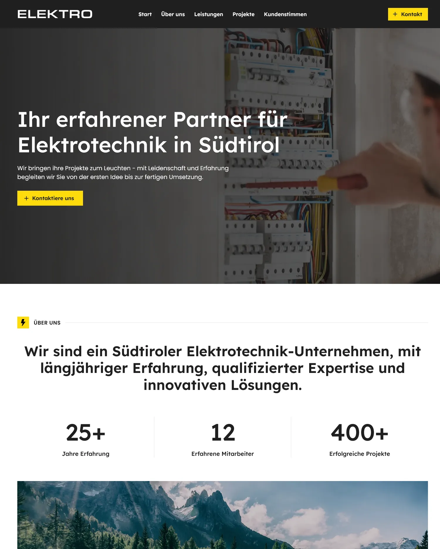Demo-Webseite Elektrotechnikunternehmen
