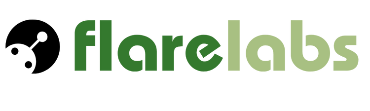 Tokenization Webflow Template