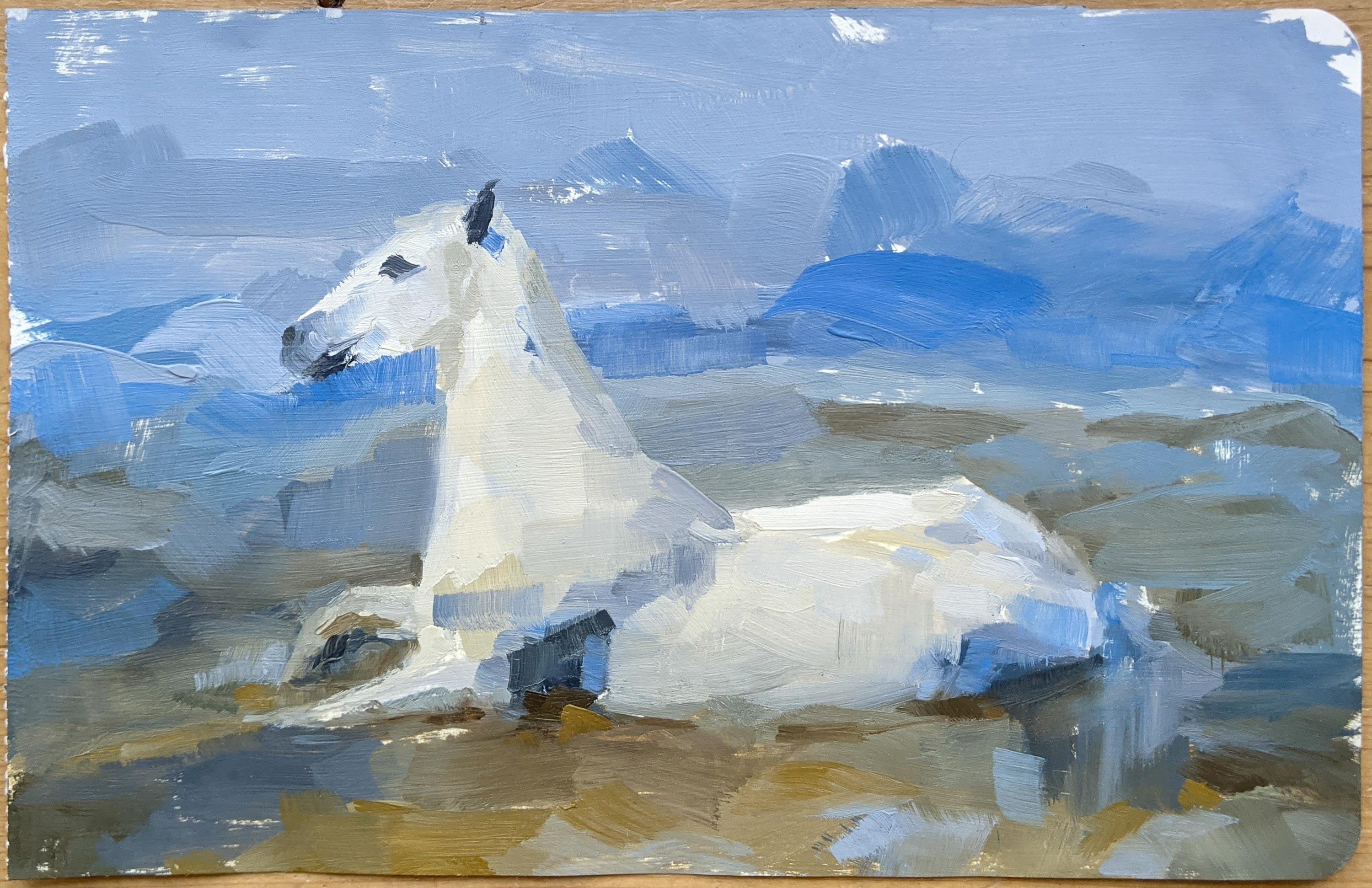 Horse in Water