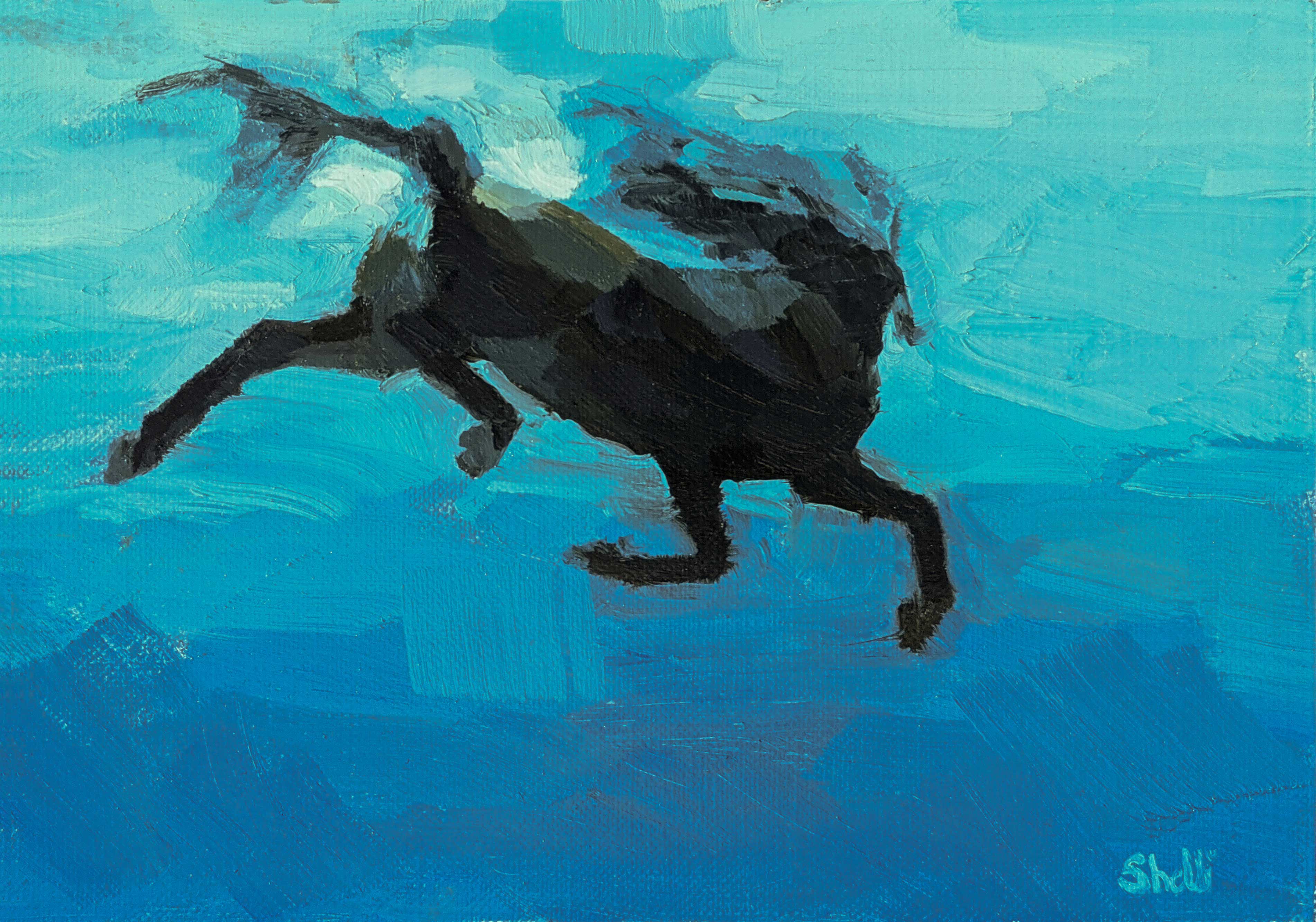 Horse Swimming