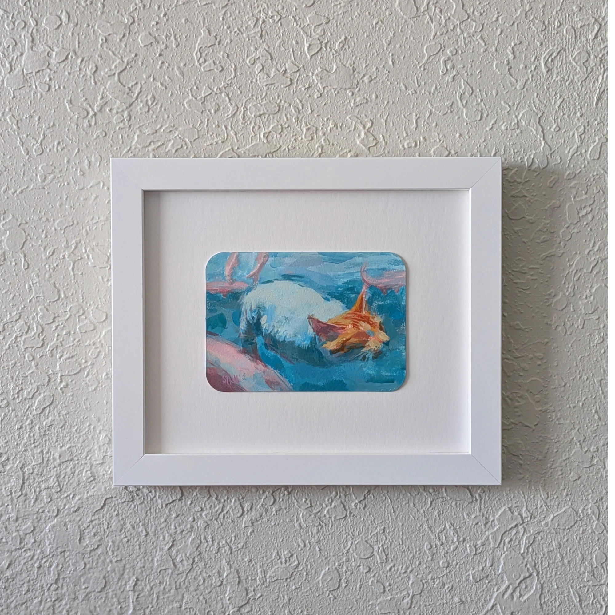 ginger kitty wrapped in onesie floating in water with pink fish