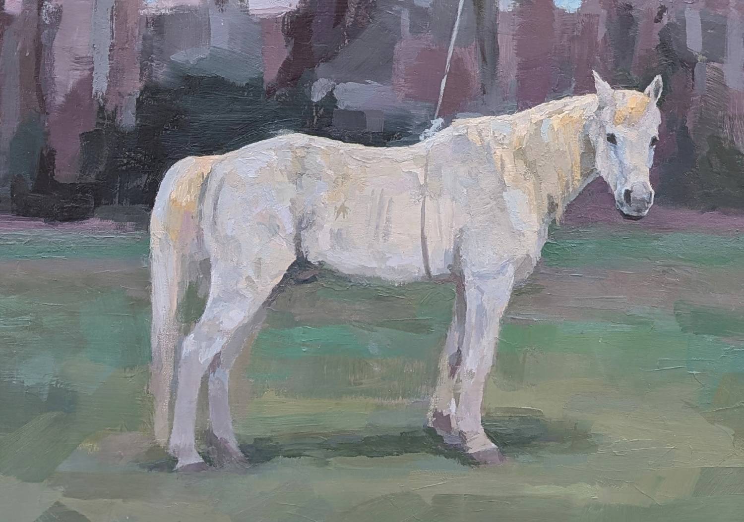 grey-white horse (detail) standing in a green pasture with treeline in background
