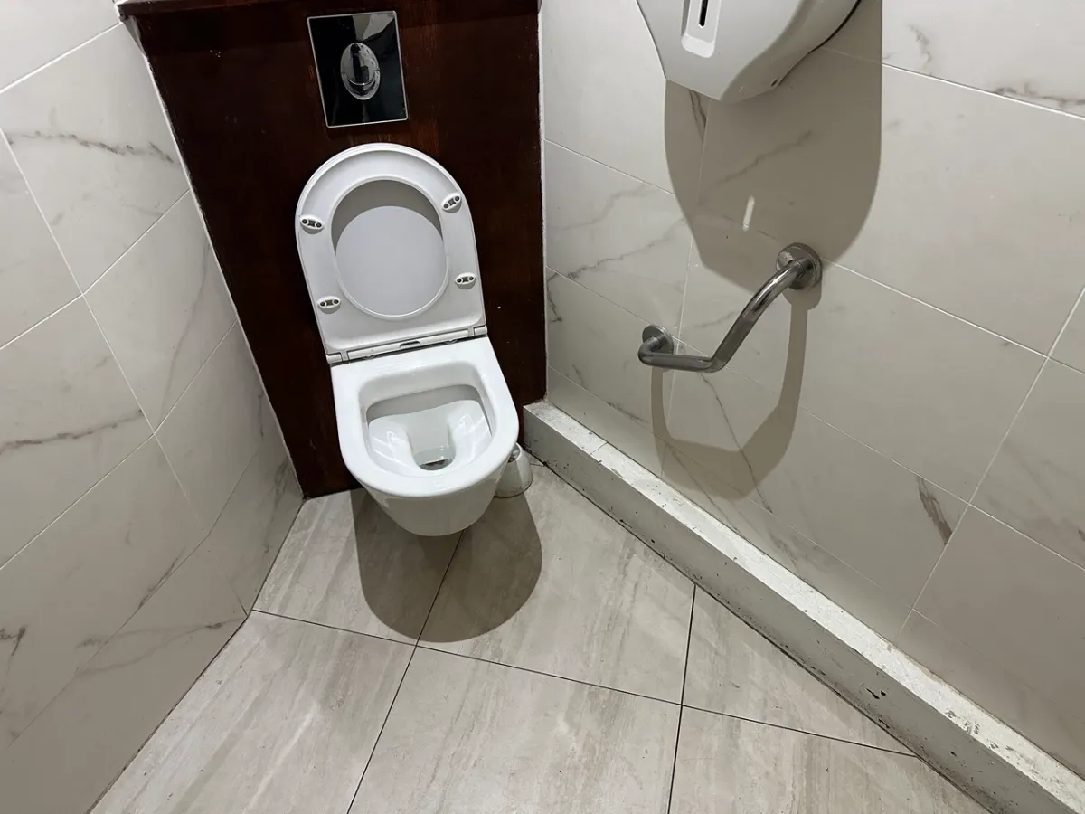 Accessible toilet at Chinatown Olympiades showing limited space on either side of the toilet.