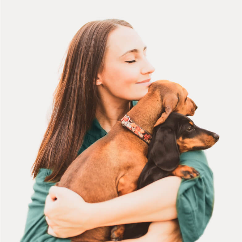 Instagram - Veterinary X Webflow Template