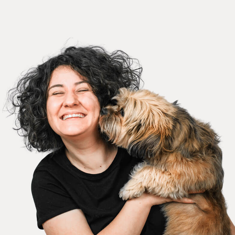 Instagram - Veterinary X Webflow Template