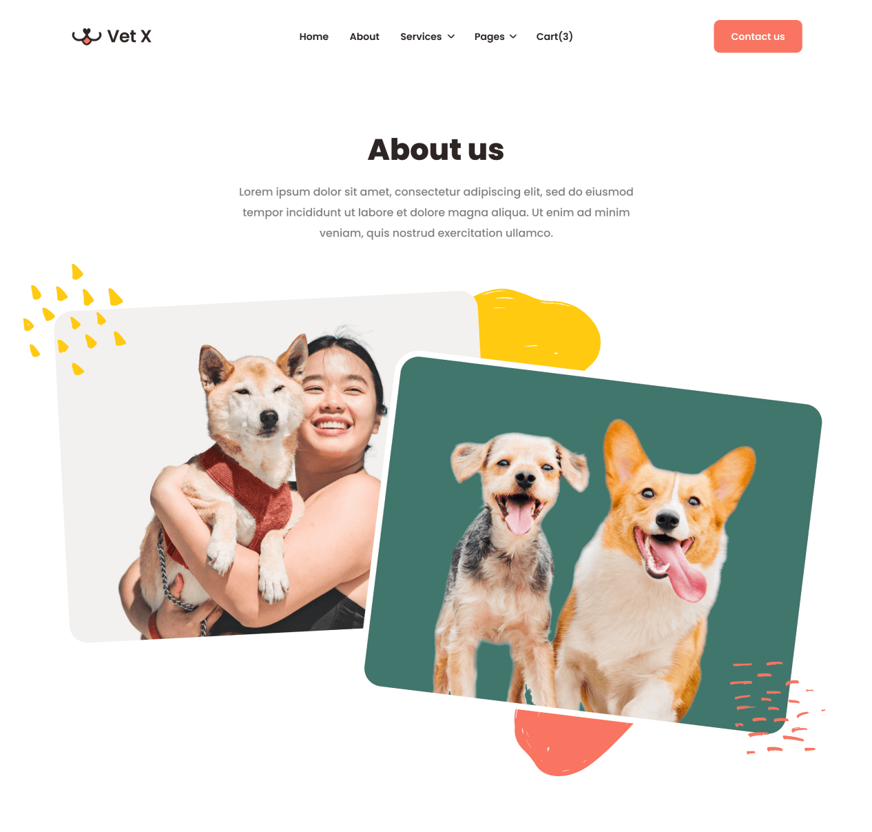 Vet X - About page - Veterinary Webflow Template