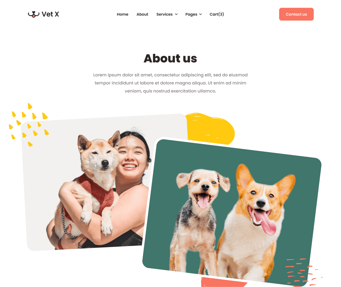 Vet X - About page - Veterinary Webflow Template