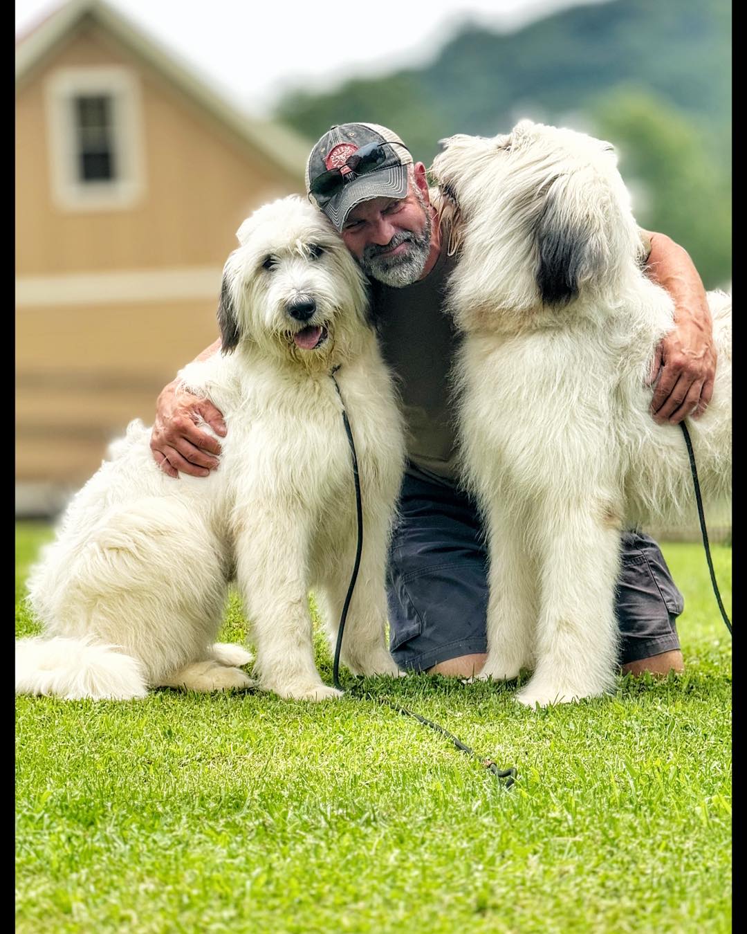 Jeff hugging two while dogs