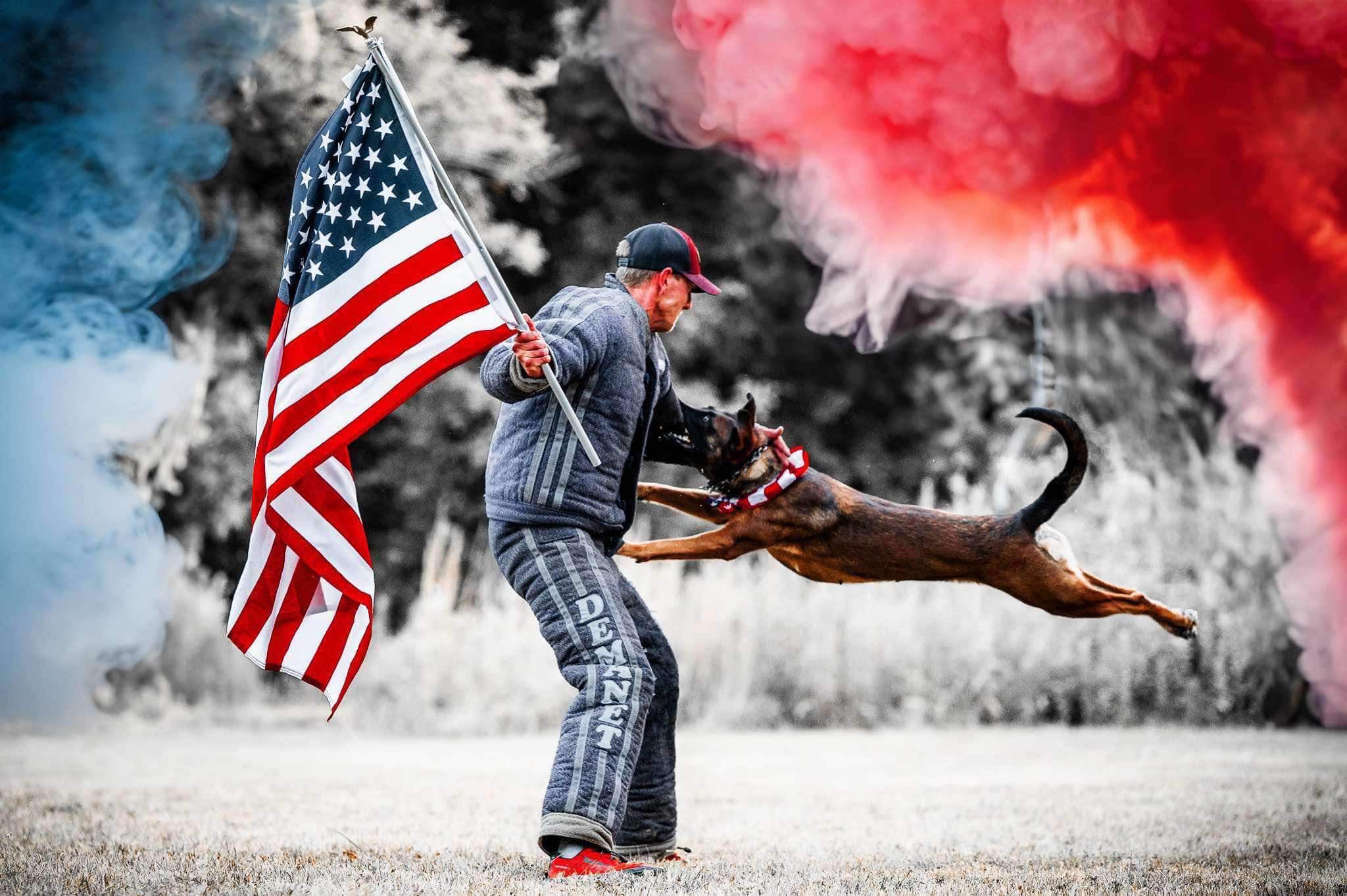 Dog Biting man in bite suit with american flag and red white and blue smoke 