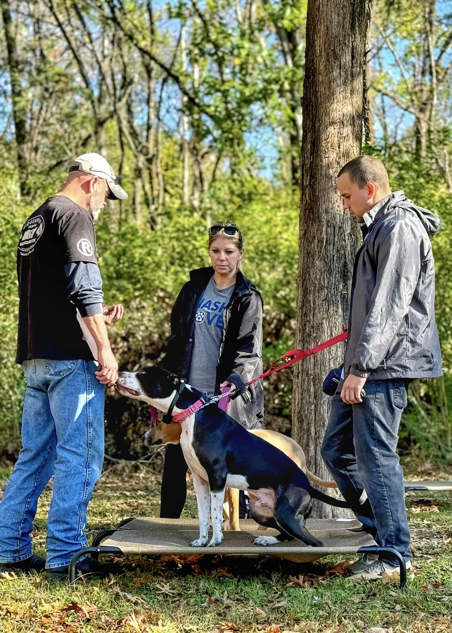 Jeff teaching family how to place their dog
