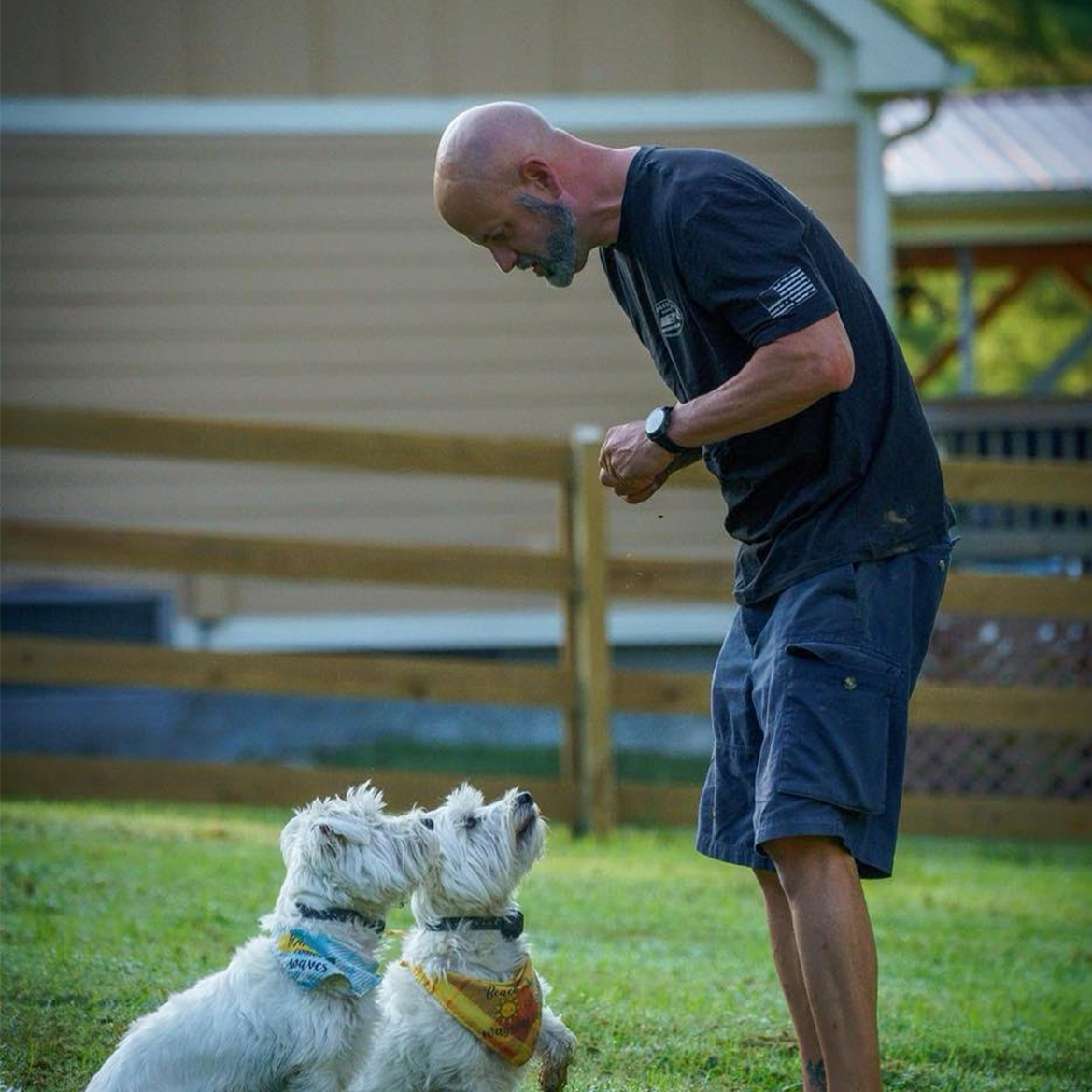 Dog training Icon