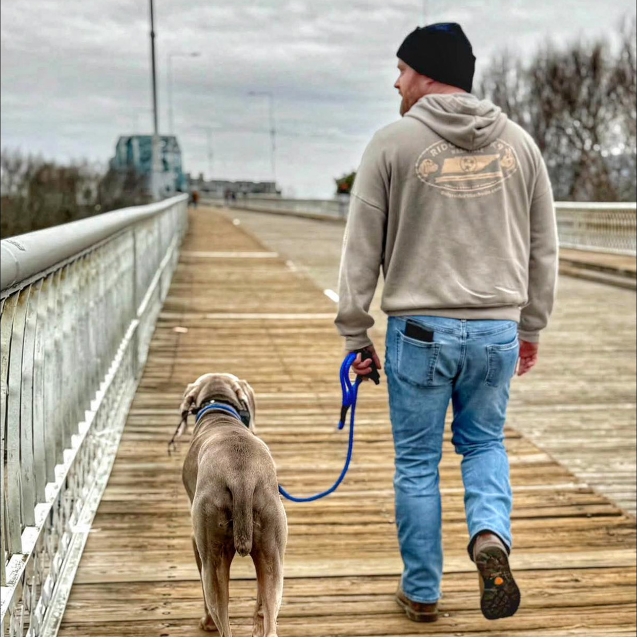 Traveling with Your Dog: Training Tips for a Smooth Trip