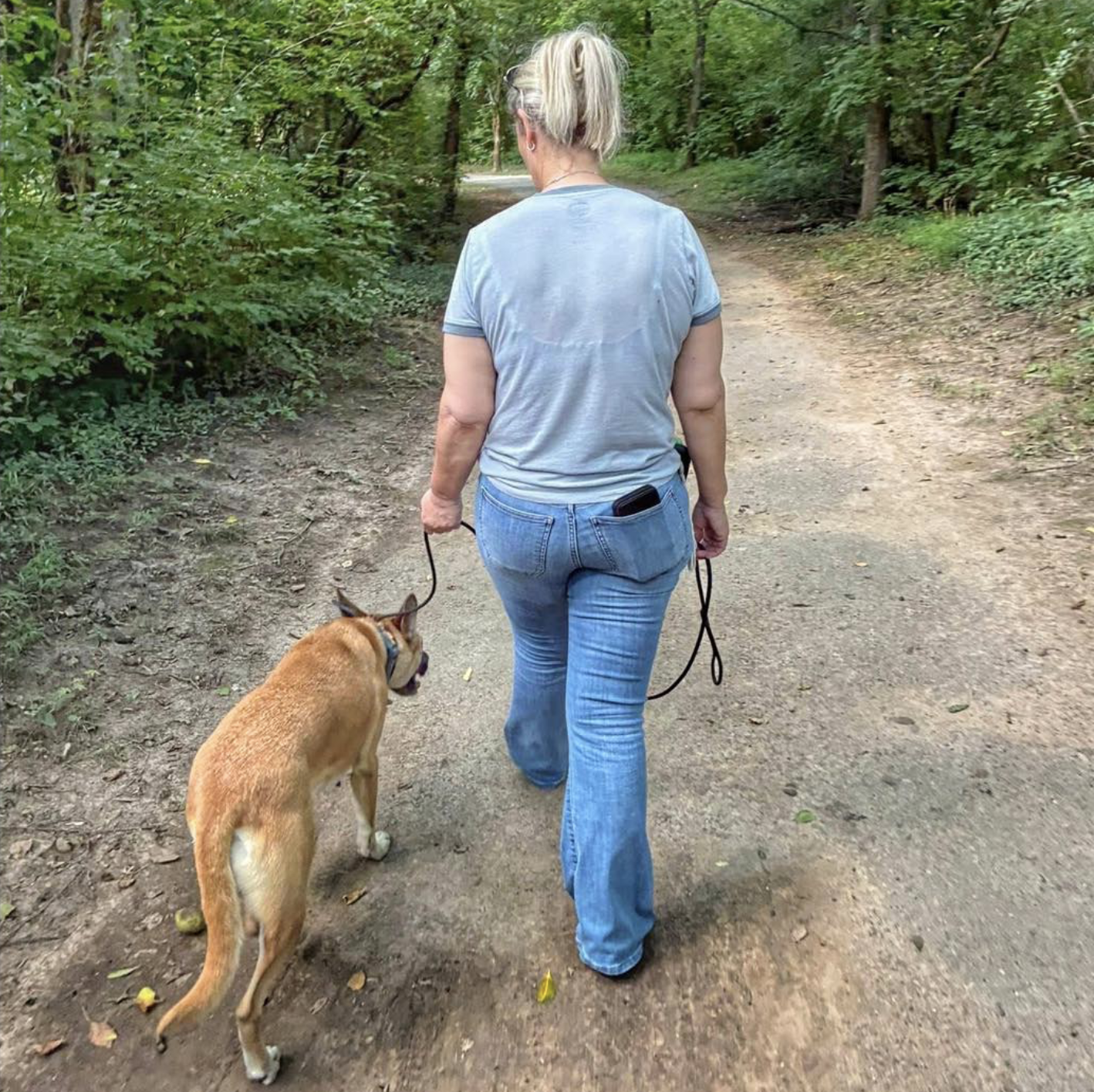The Hidden Danger of Walnuts on Nashville Trails: Protecting Your Dog from a Common Fall Hazard
