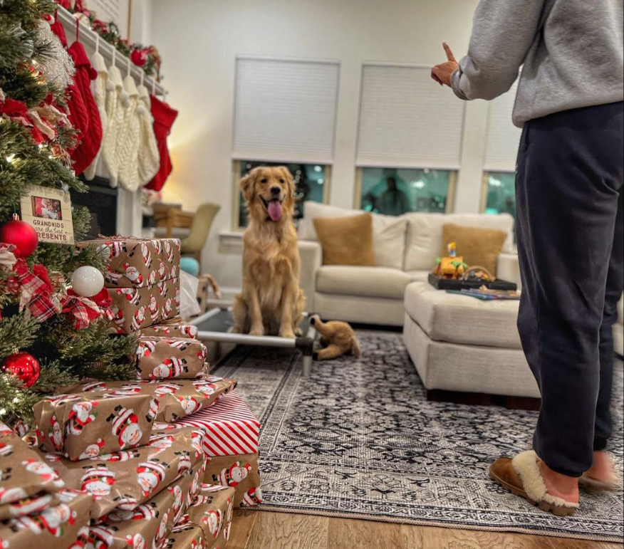 The Secret to a Peaceful Holiday Season? A Well-Trained Dog.